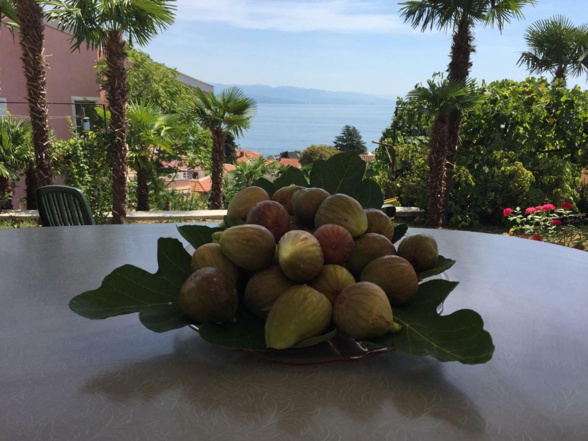 Anicic Apartment Opatija Exterior photo